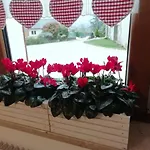 B&B La Casa Di Loretta Paderno (Belluno)