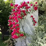 B&B La Casa Di Loretta 3*