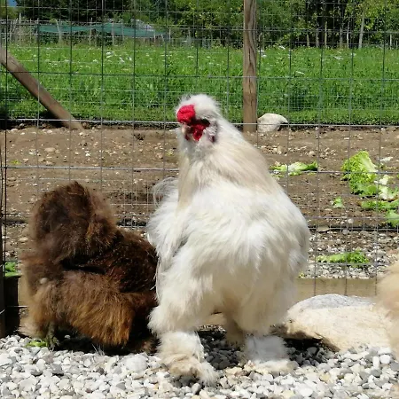 La Casa Di Loretta 3*