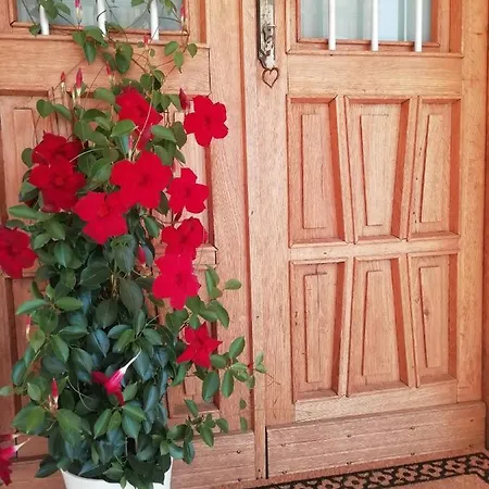 La Casa Di Loretta ベッド・アンド・ブレックファスト