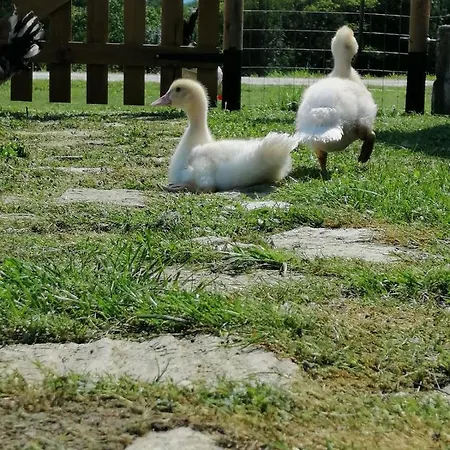 La Casa Di Loretta 3* Paderno