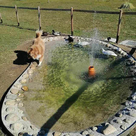 La Casa Di Loretta ベッド・アンド・ブレックファスト Paderno