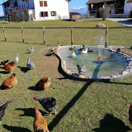 Bed and breakfast La Casa Di Loretta 3*