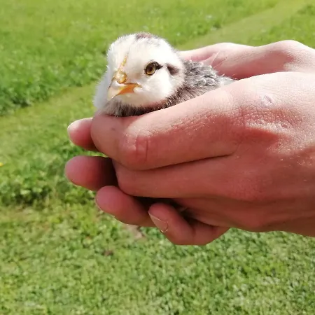 La Casa Di Loretta Paderno