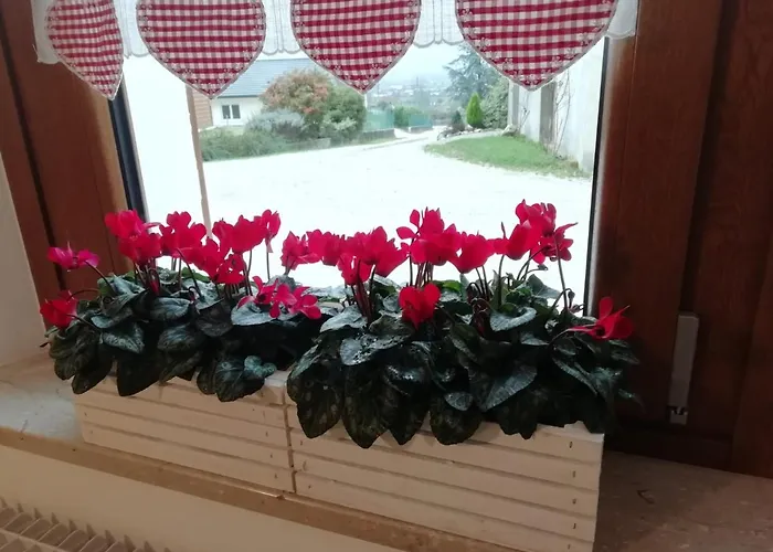 Bed and breakfast La Casa Di Loretta Paderno (Belluno)