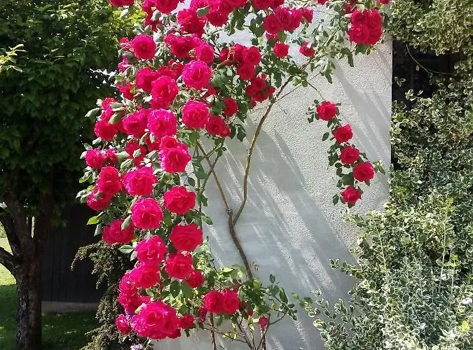 Bed and breakfast La Casa Di Loretta 3*