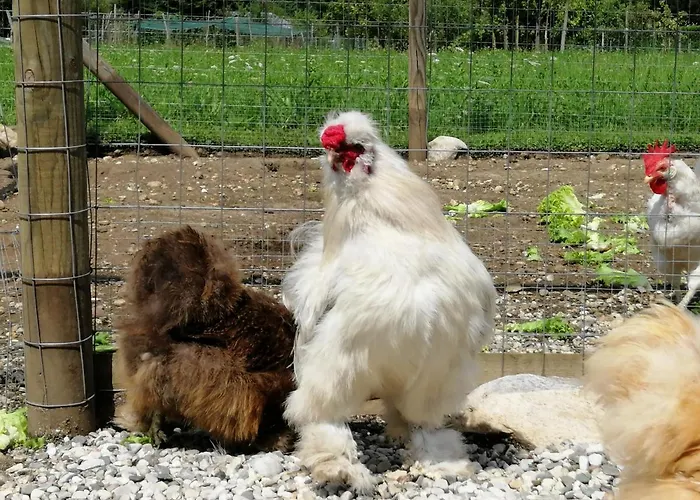 La Casa Di Loretta 3*