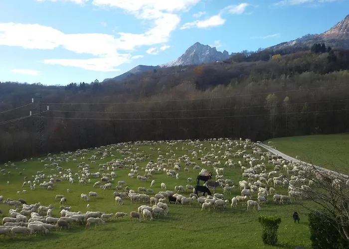 La Casa Di Loretta Bed and breakfast Paderno (Belluno)
