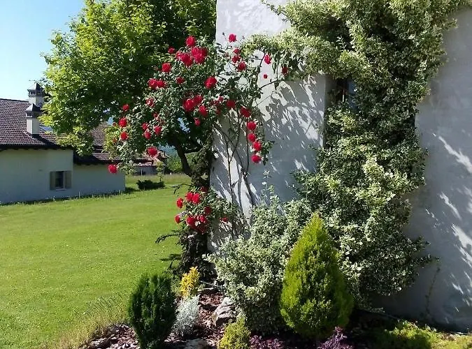 La Casa Di Loretta 3*