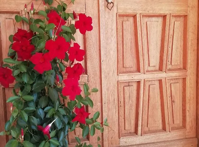 La Casa Di Loretta Bed and breakfast