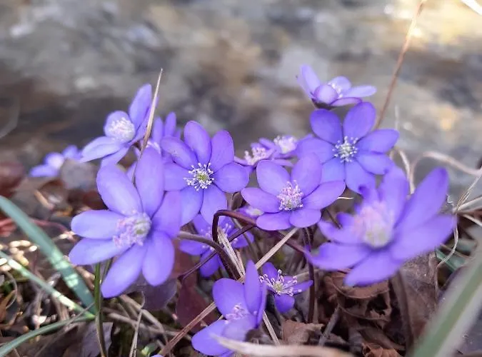 La Casa Di Loretta Bed and breakfast