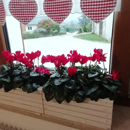 住宿加早餐酒店 La Casa Di Loretta Paderno (Belluno)