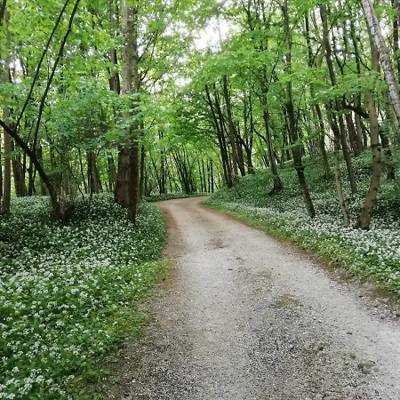 La Casa Di Loretta 住宿加早餐酒店
