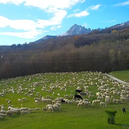 La Casa Di Loretta 3*