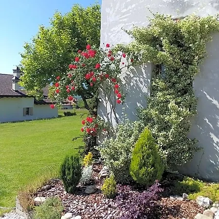 La Casa Di Loretta 3* Paderno (Belluno)