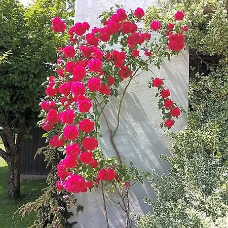 La Casa Di Loretta 3*