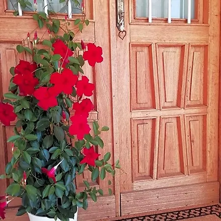 La Casa Di Loretta Bed and Breakfast