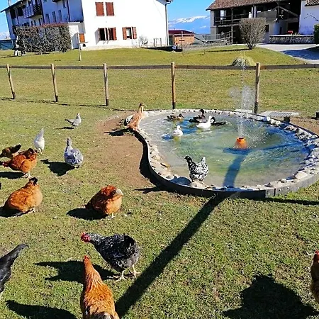 La Casa Di Loretta 3*