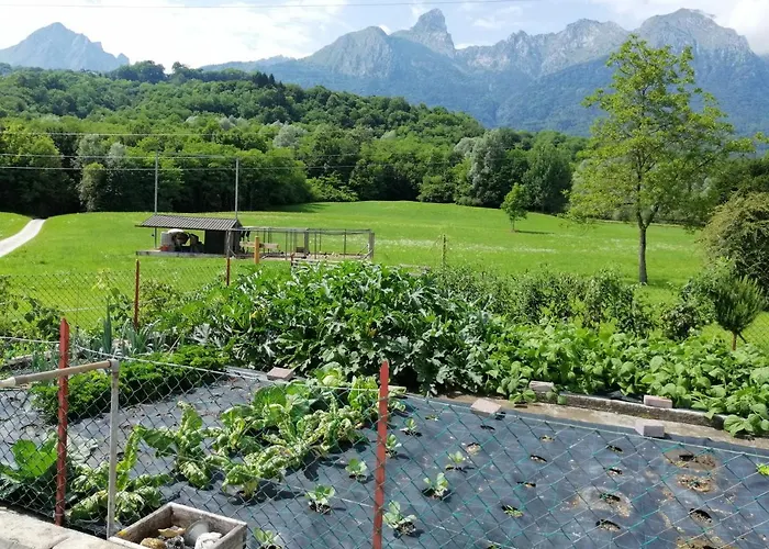La Casa Di Loretta Bed & Breakfast Paderno (Belluno)