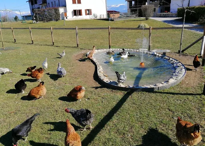 Bed and breakfast La Casa Di Loretta 3*