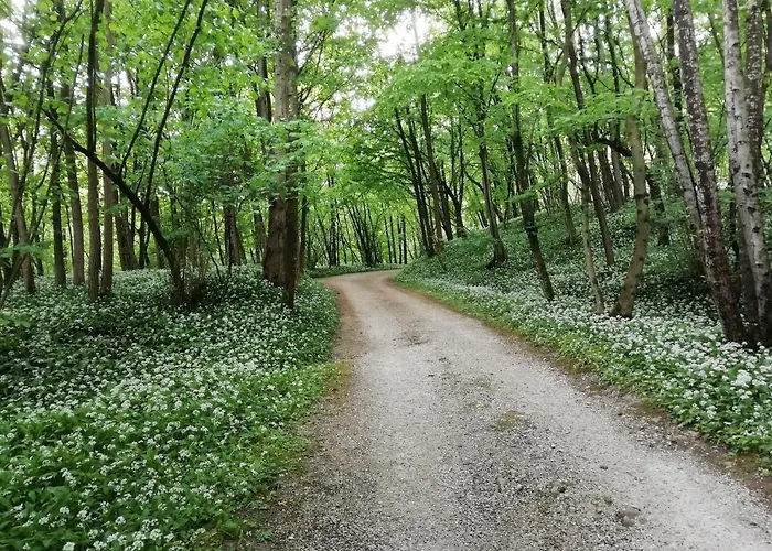 La Casa Di Loretta Bed & Breakfast